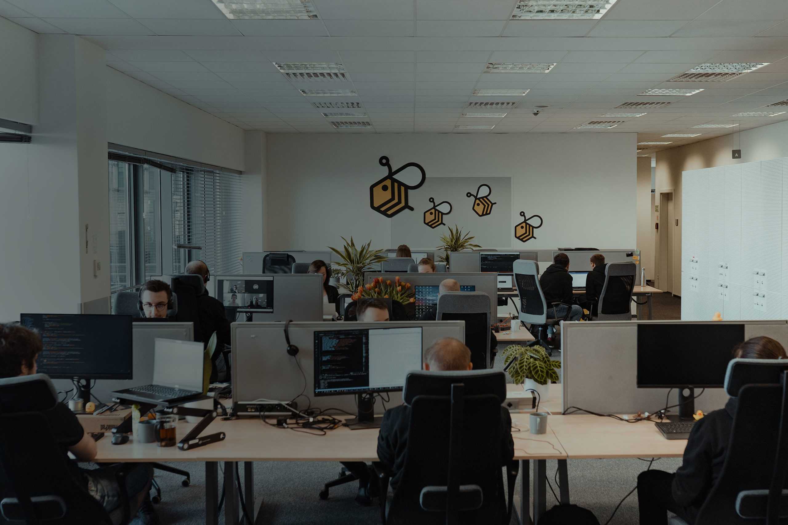 Wide show of an open space office. People are sitting in front of their computers, and bee logos are on the back wall.